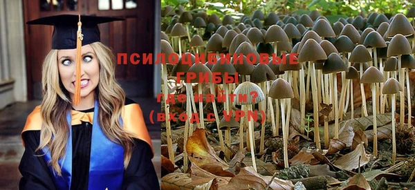 гидропоника Белокуриха