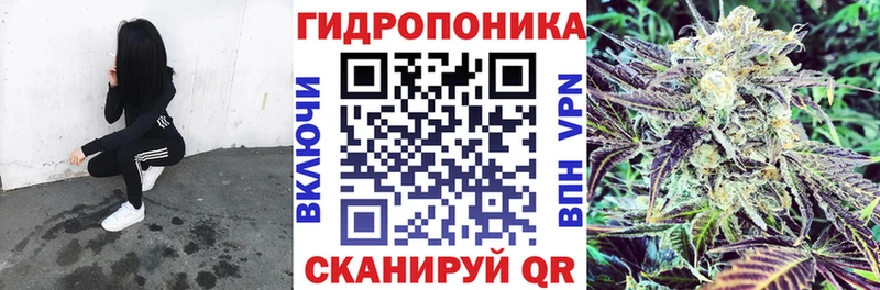 МАРИХУАНА сатива  Великий Устюг 